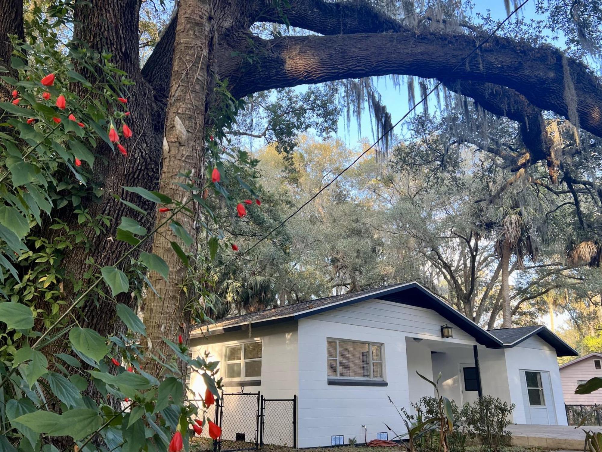 Micanopy Country Welcome מראה חיצוני תמונה