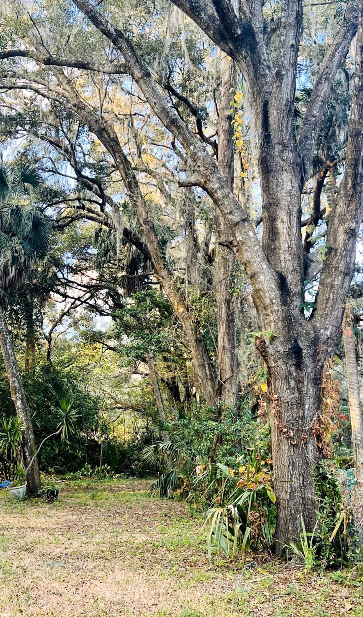 Micanopy Country Welcome מראה חיצוני תמונה